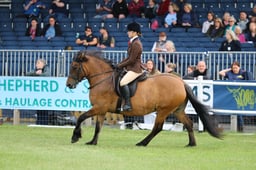 H45_2448 2026