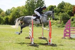 A27_4230 2026