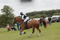 E39_2740 2026