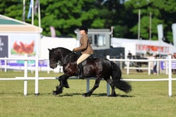 H47_9716 2026