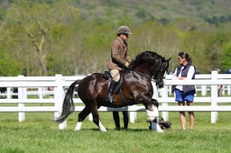 H19_0455 2026