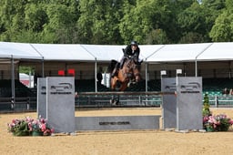 Z31_0273 2026