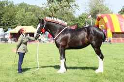 E33_4480 2026