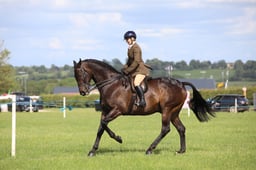 W36_2563 2026
