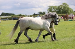 J36_7454 2026