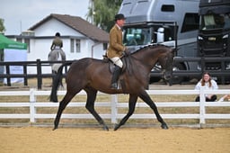118D Hunter Championship