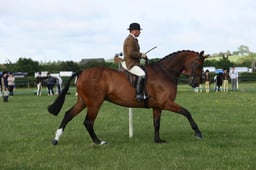 E36_0448 2026
