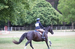 A57_3577 2026