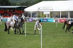 M43_6149 2026