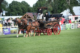 D42_3505 2026
