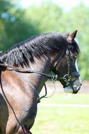 M19_0806 2026