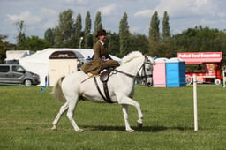 E36_2376 2026