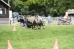 D42_1780 2026