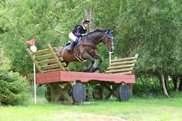 81 Magheradrummond Lad