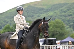H230 HOYS Ridden Pre Veteran