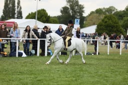 E30_4560 2026