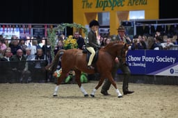 44 LR Pony of Hunter Type Championship