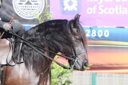 E46_0584 2026