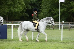E30_4445 2026
