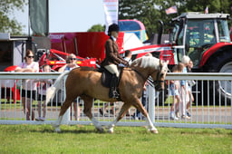 W33_0995 2026