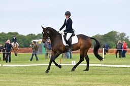 B21_5385 2026