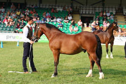 E69_0434 2026