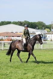 C34_0655 2026