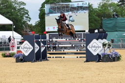 H29_6171 2026