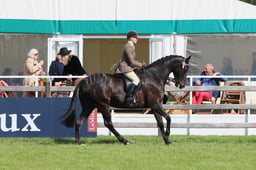 S30_2969 2026