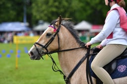 R39_1898 2026