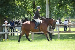 M42_3743 2026