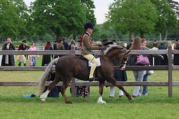 S30_4529 2026