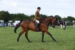 02 HOYS Middleweight Hunter