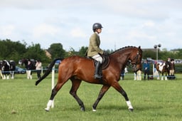 E36_0320 2026