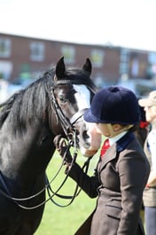 W33_0531 2026