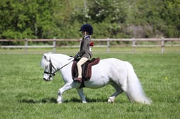 77 M&M Open First Ridden Winter