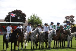 H42_0345 2026