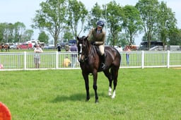 F34_2004 2026