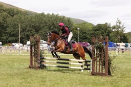 H172A Arena Eventing 80cm