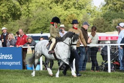 E30_0363 2026