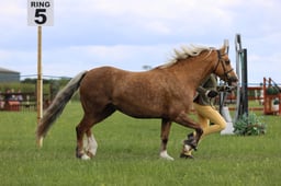 J36_7683 2026