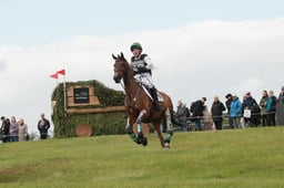 E39_1470 2026