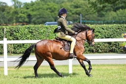 H179-178 TSR AMATEUR MINI CHAMPIONSHIP