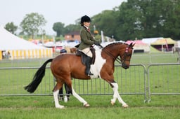 C34_0063 2026