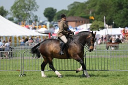 C34_1285 2026