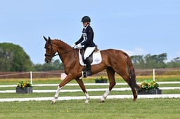 377 IMRE VERA