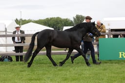 W29_0744 2026