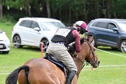 D35_0937 2026