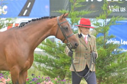524 Mares