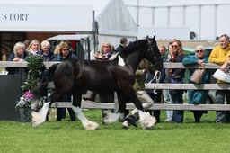 S28_8357 2026